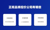 正规品牌控价公司有哪些