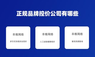 正规品牌控价公司有哪些
